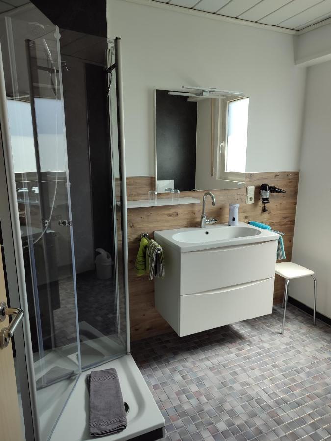 Haus Alexandra Inkl Meinecard Plus Willingen  Εξωτερικό φωτογραφία