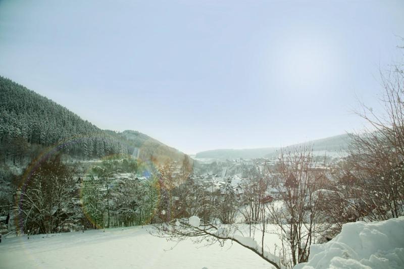 Haus Alexandra Inkl Meinecard Plus Willingen  Εξωτερικό φωτογραφία