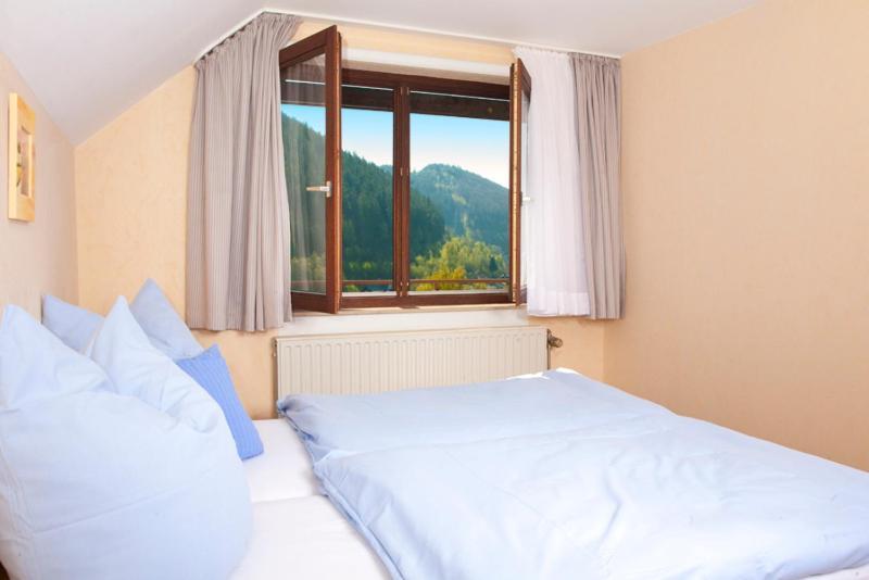 Haus Alexandra Inkl Meinecard Plus Willingen  Δωμάτιο φωτογραφία