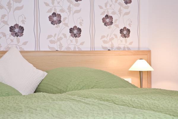 Haus Alexandra Inkl Meinecard Plus Willingen  Εξωτερικό φωτογραφία